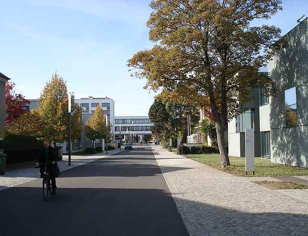 Blick in die Bauhaustraße