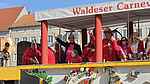 Karneval Dessau 2025 025