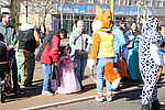 Karneval Dessau 2025 039