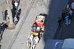 Karneval Dessau 2025 109