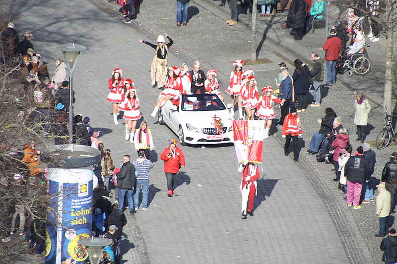 Karneval Dessau 2025 140