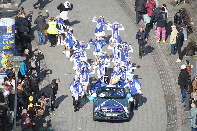 Karneval Dessau 2025 152