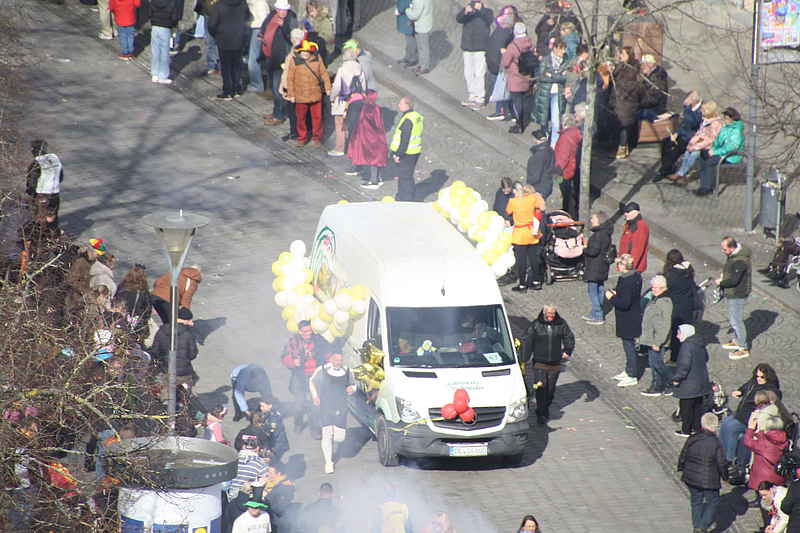 Karneval Dessau 2025 156
