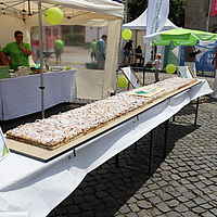 2026-07-05-Stadtfest-3 (08)